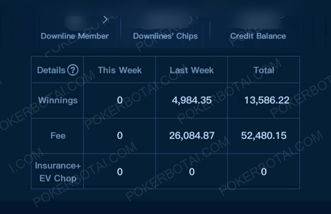 X-Poker 联盟盈亏明细（已隐去身份）