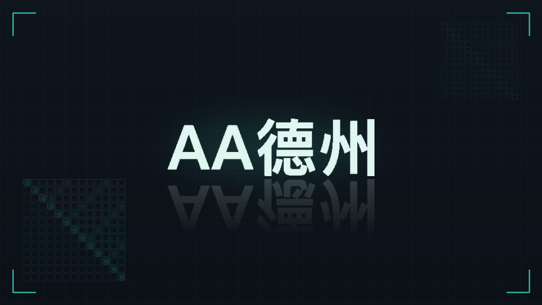 AA德州 实时辅助数据视图